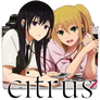 Citrus (004) Folder Icon