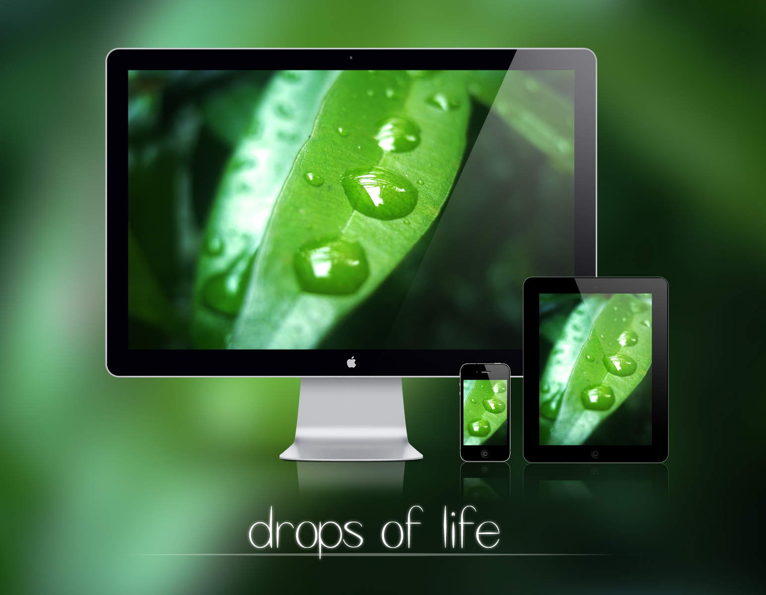 Drops of Life