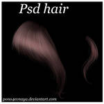 Psd Hair
