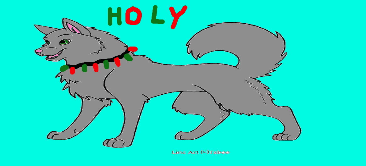 meet holy!