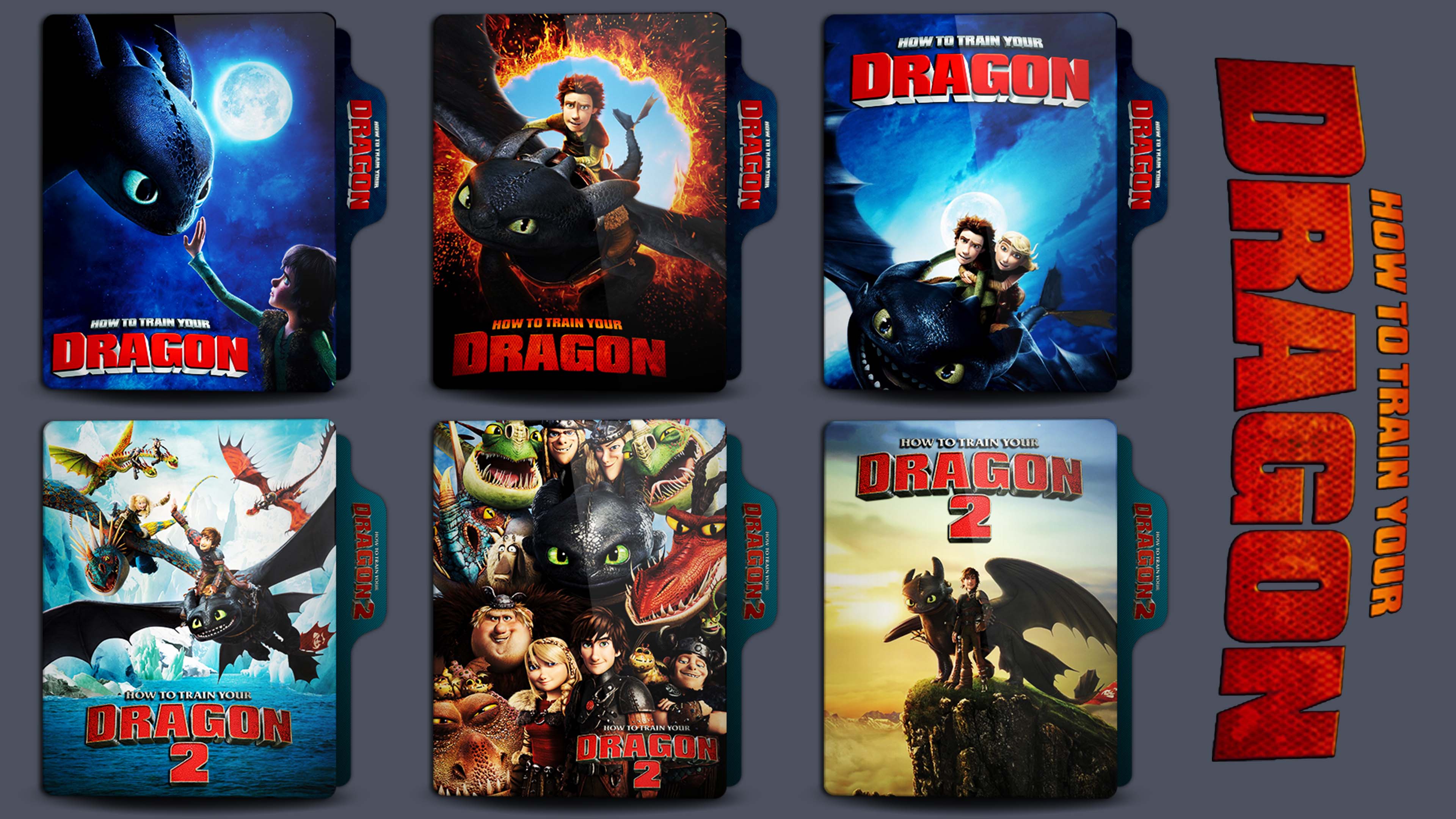 How to Train Your Dragon folder icon by HNSRock on DeviantArt