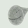 Animation Test