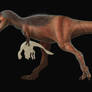 Qianzhousaurus Sinensis/Alioramus Remotus