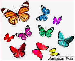 Mariposas PNG