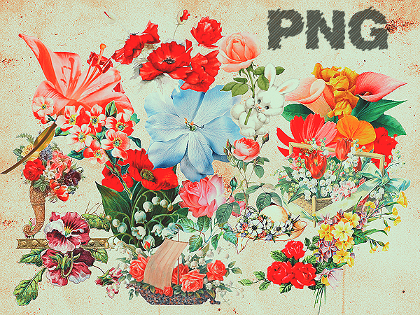 PNG_08 by tokiobsession on DeviantArt