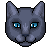Bluestar icon