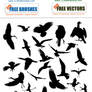 Bird Silhouette Free Pack