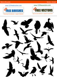 Bird Silhouette Free Pack