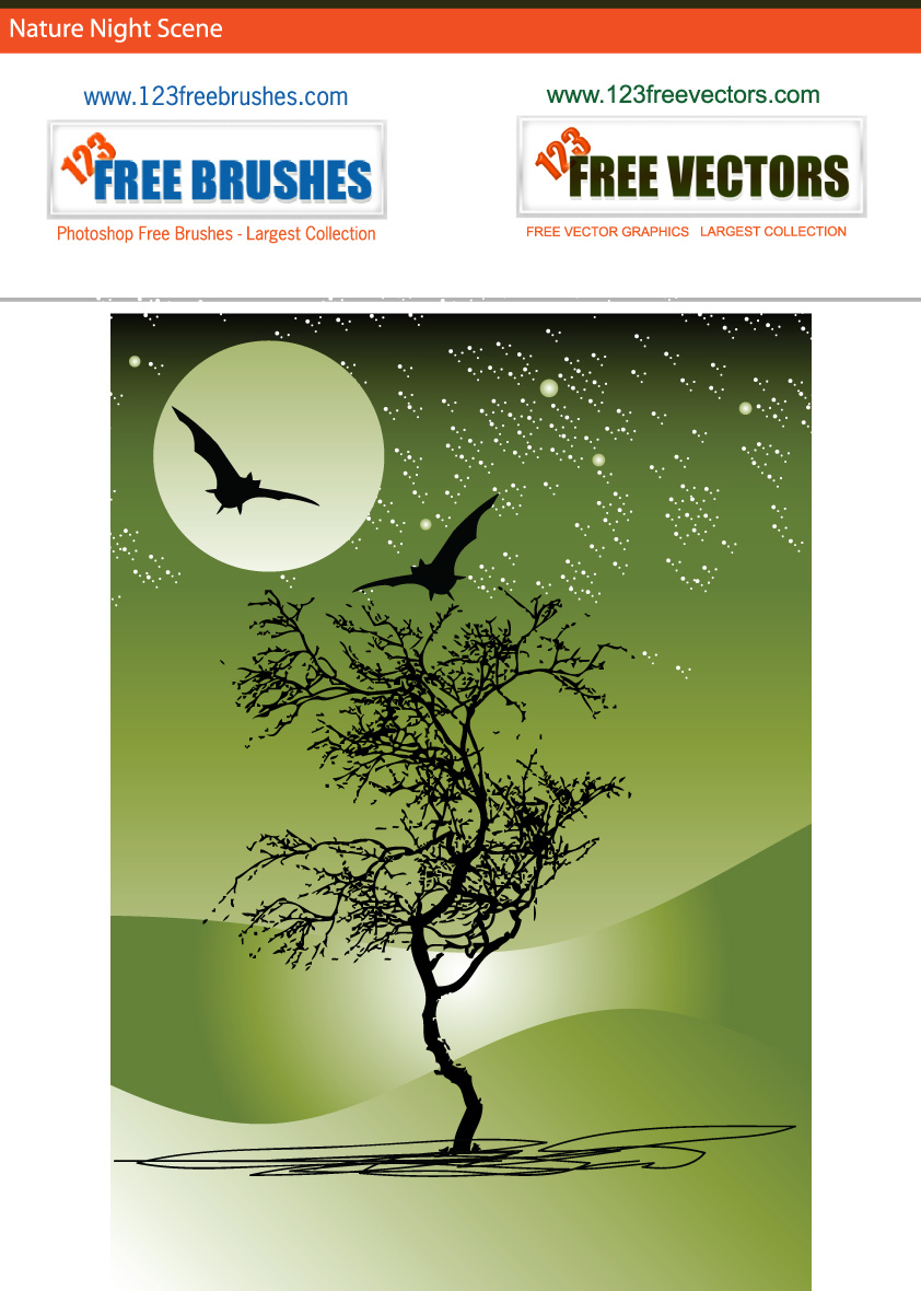 Nature Night Scene Vector Graphics