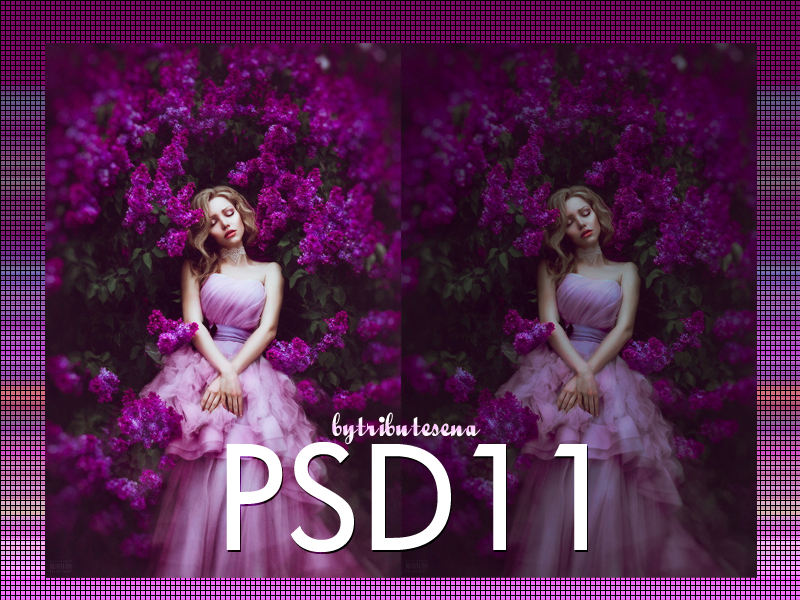 Psd11 by tributesena