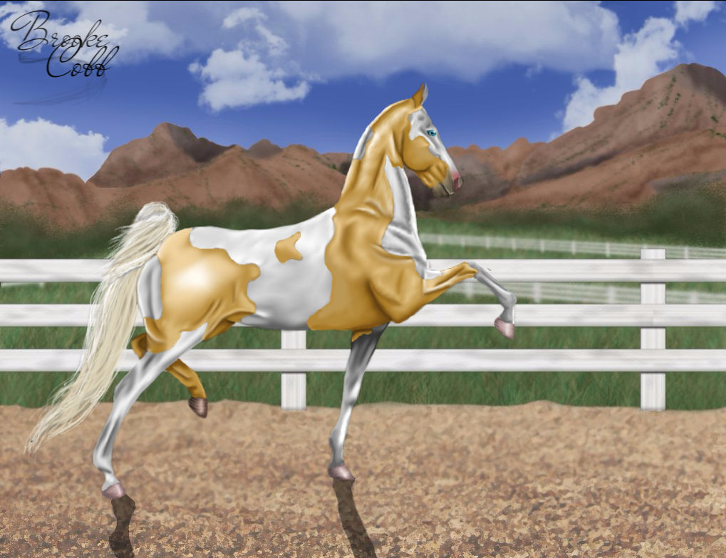 Palomino Paint American Saddlebred by brookecobb on DeviantArt