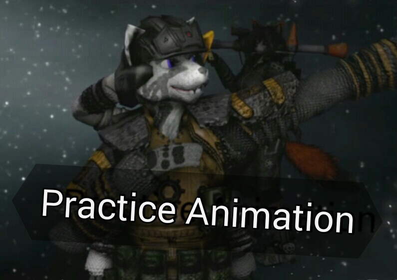 Practice animation