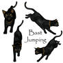 Bast Jumping Pack