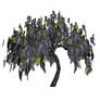 Wisteria Tree