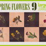Spring flowers texture pack