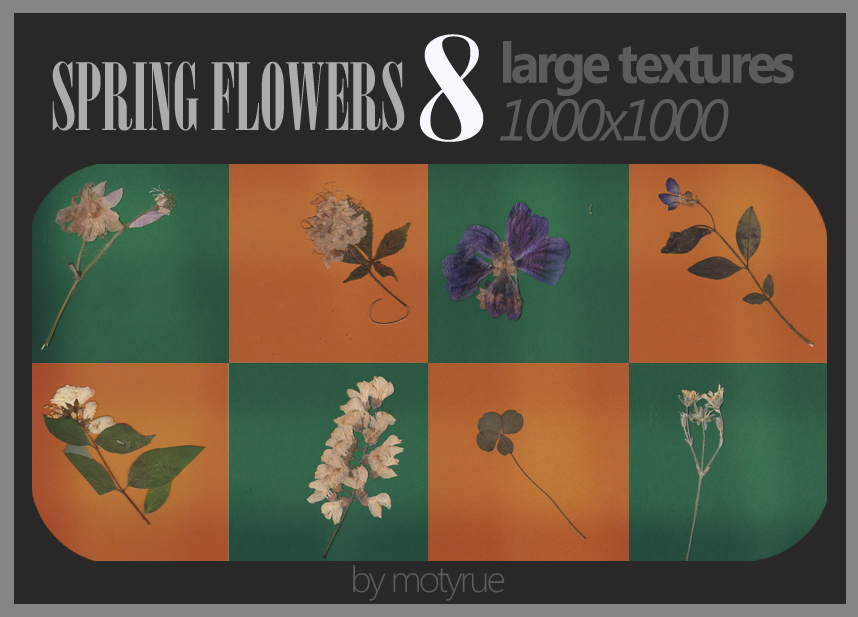 Spring flowers 2 texture pack