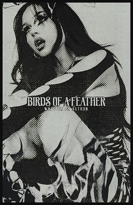 Birds Of A Feather! Wattpad Cover Template by johnsmulaney on DeviantArt