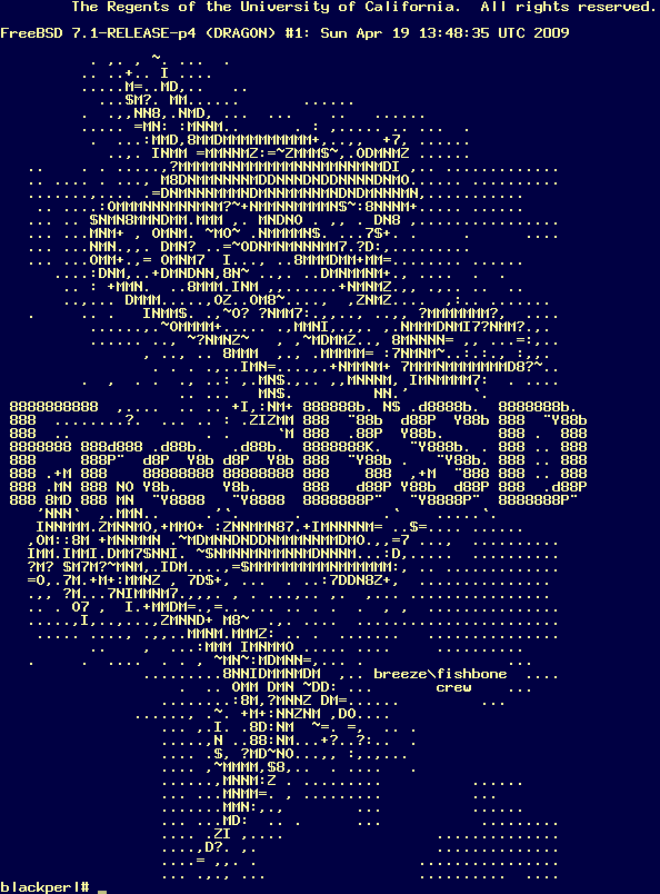 FreeBSD Dragon