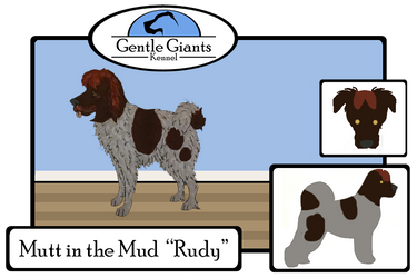 Mutt in the Mud - Rudy