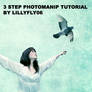 Photomanip tutorial