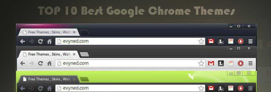 google chrome themes by evyned