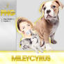 Miley Cyrus NOH8 + Puppies PNG's