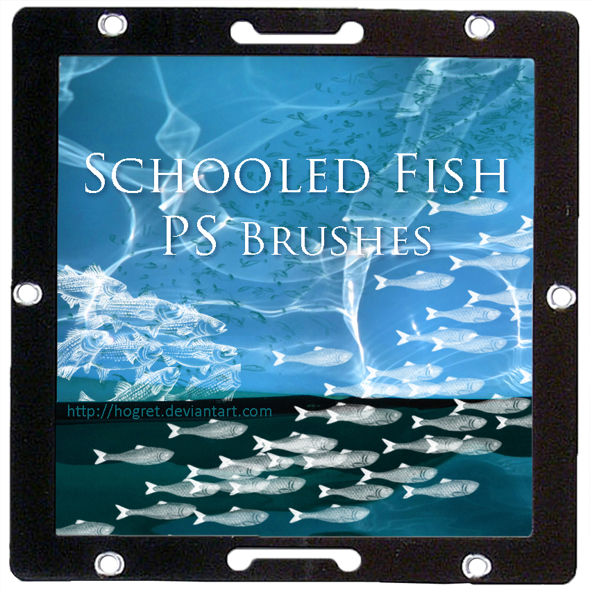 Schooled Fish - PS Brush