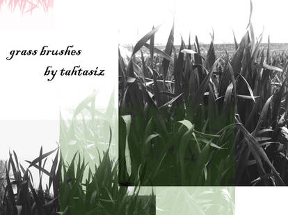 Grass Brushes