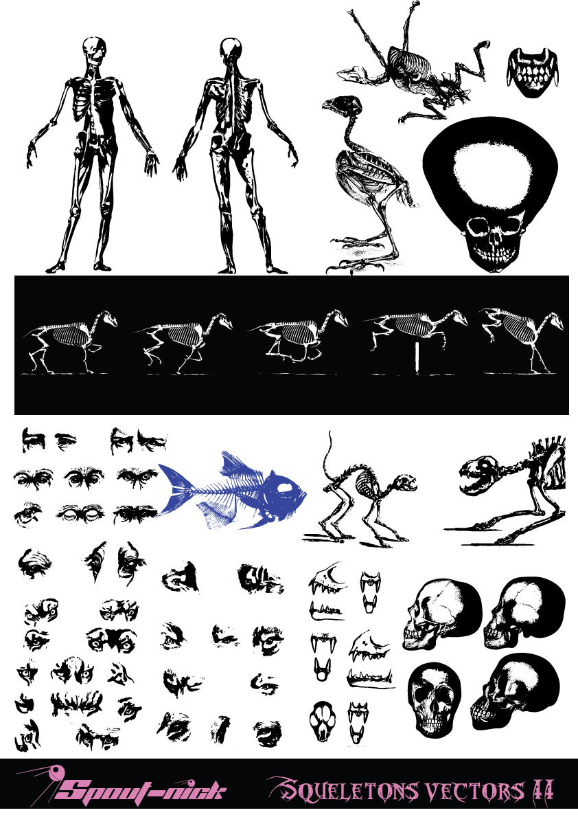 Skeletons vectors (II) by Spout-Nick