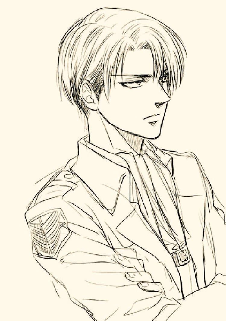 You Ve Grown A Habit Sir Levi Reader By Stilemawillow On Deviantart Attak on titan wallpapers hd mikasa levi eren. you ve grown a habit sir levi