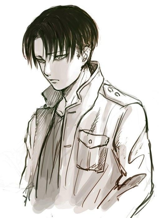 levi modern