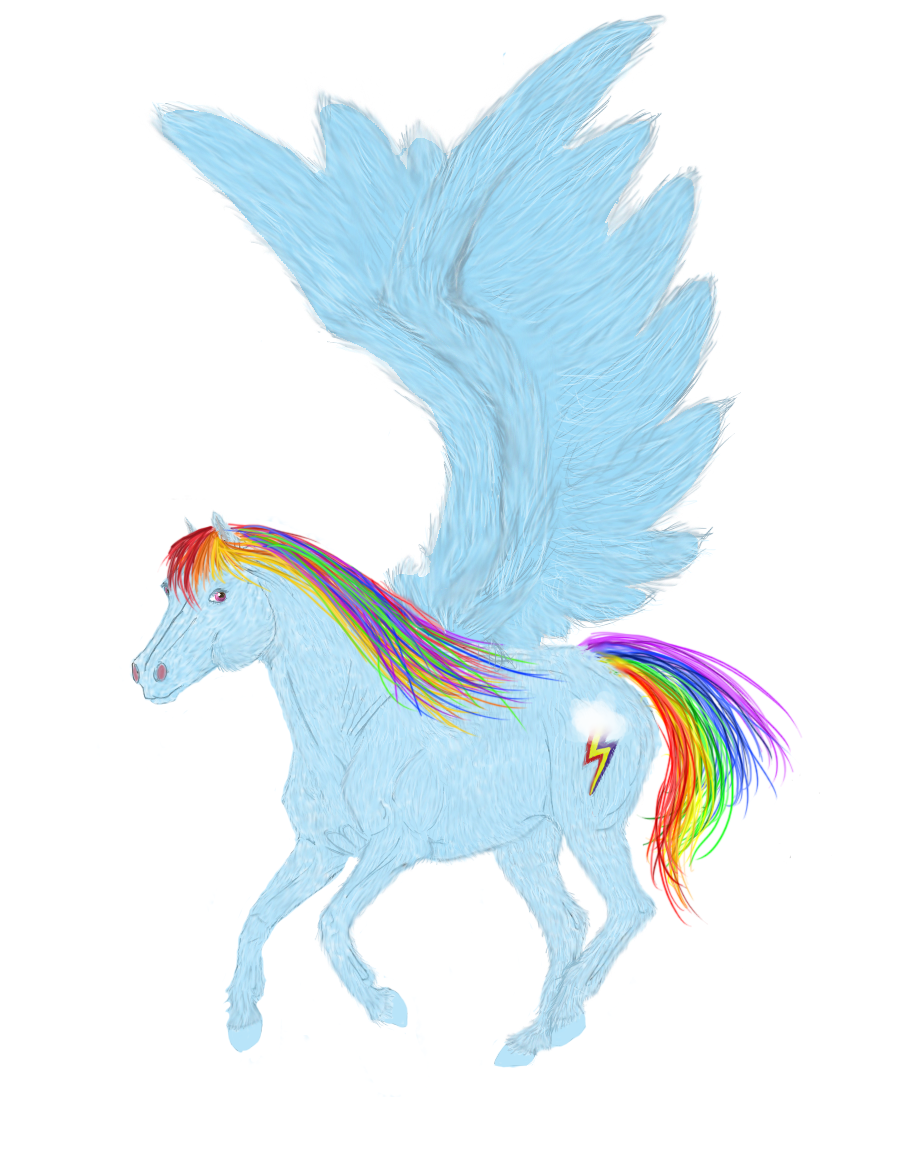 Rainbow Dash Realistic by itasaku4llenstar on DeviantArt