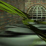 3D Vines