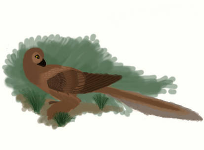 Changu Raptor Explore the Best Changyuraptor Art | DeviantArt