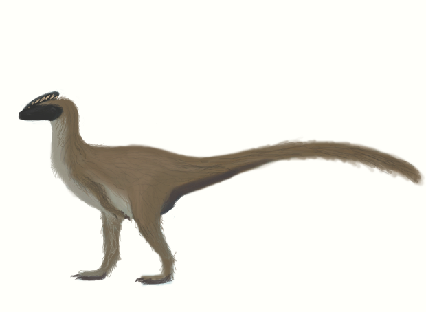 Guanlong wucaii