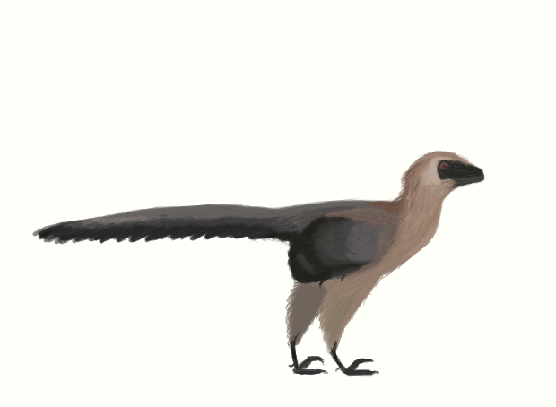 Dromaeosaurus albertensis by casielles on DeviantArt