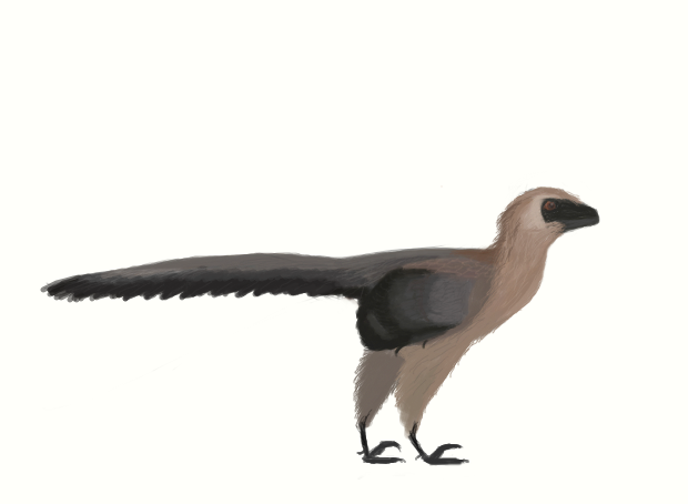 Dromaeosaurus albertensis