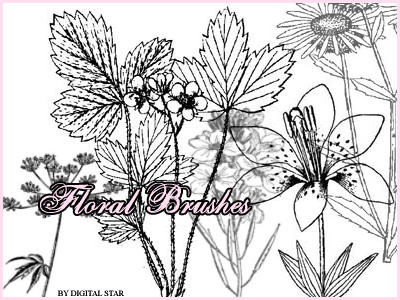 Floral Brushes