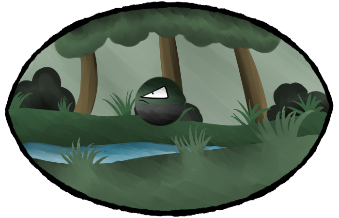 PR: Wetland Exploration