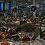 885 Racoons Wreck The Feast!!!! (2) - Video By RJW