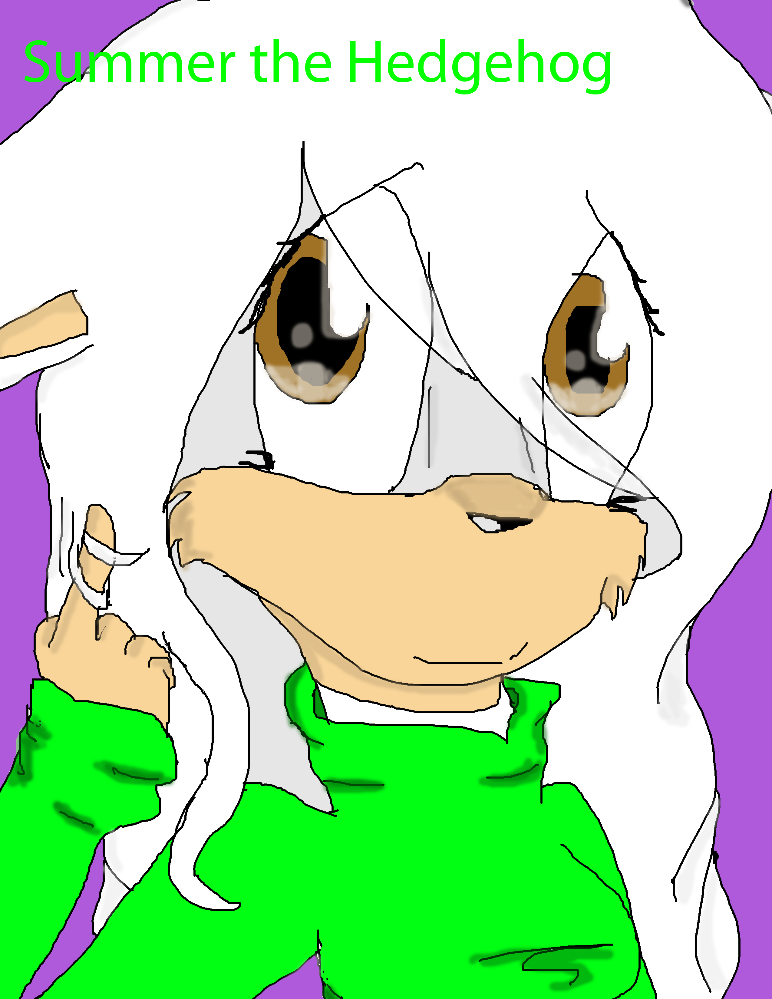 Summer the hedgehog by CherryWolf1 on DeviantArt