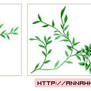 Collection flower05
