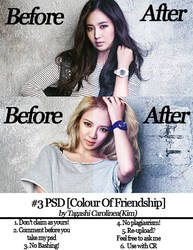 #3 PSD [Colour Of Friendship]