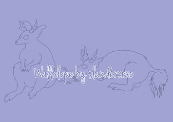 Wallalope Lineart