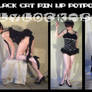 Black Cat Pinup Potpourri Set