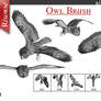 Owl Brush