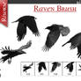 Raven Brush