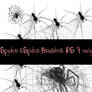 spiders pack1