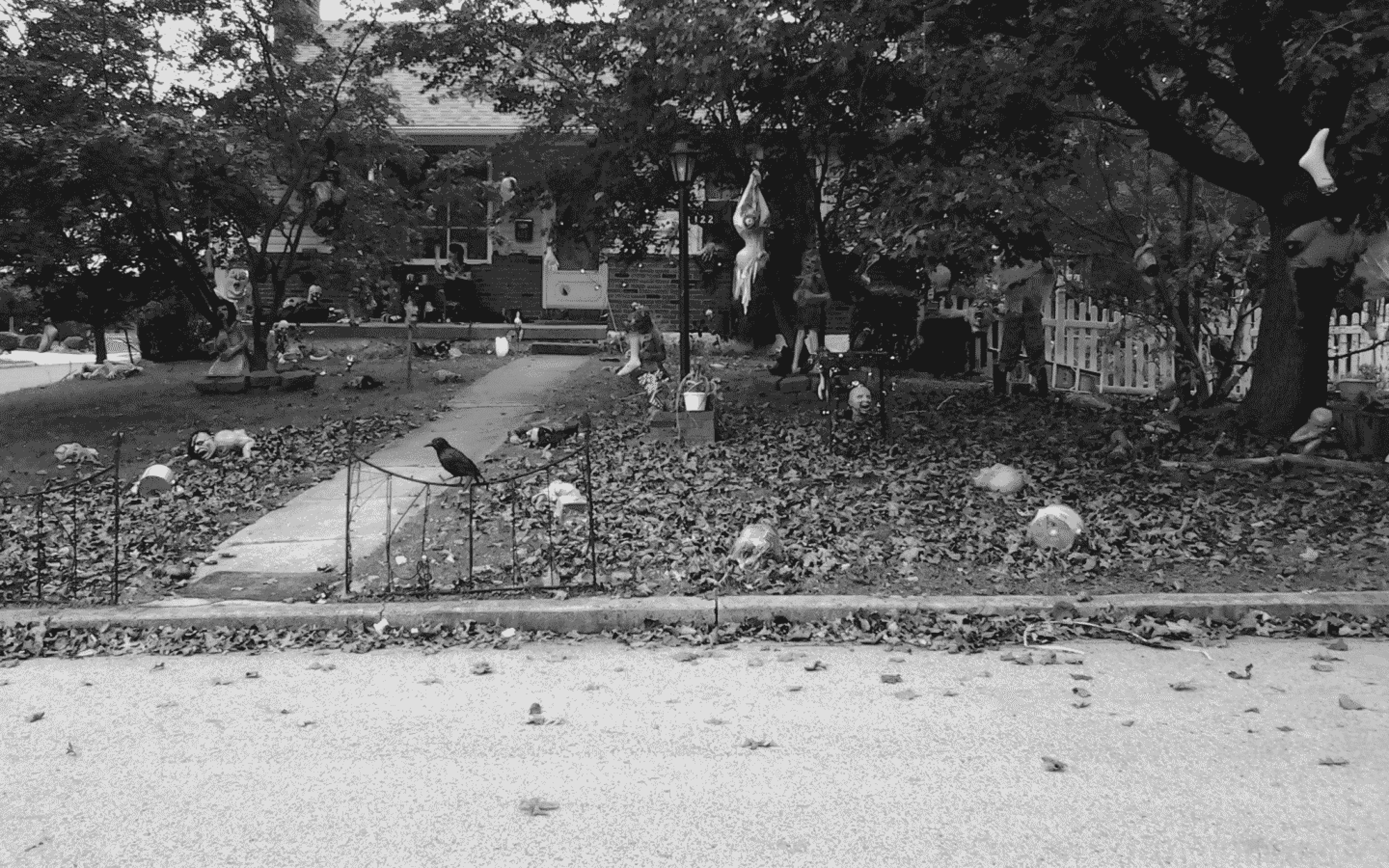 hallo2013 by skateboarder11
