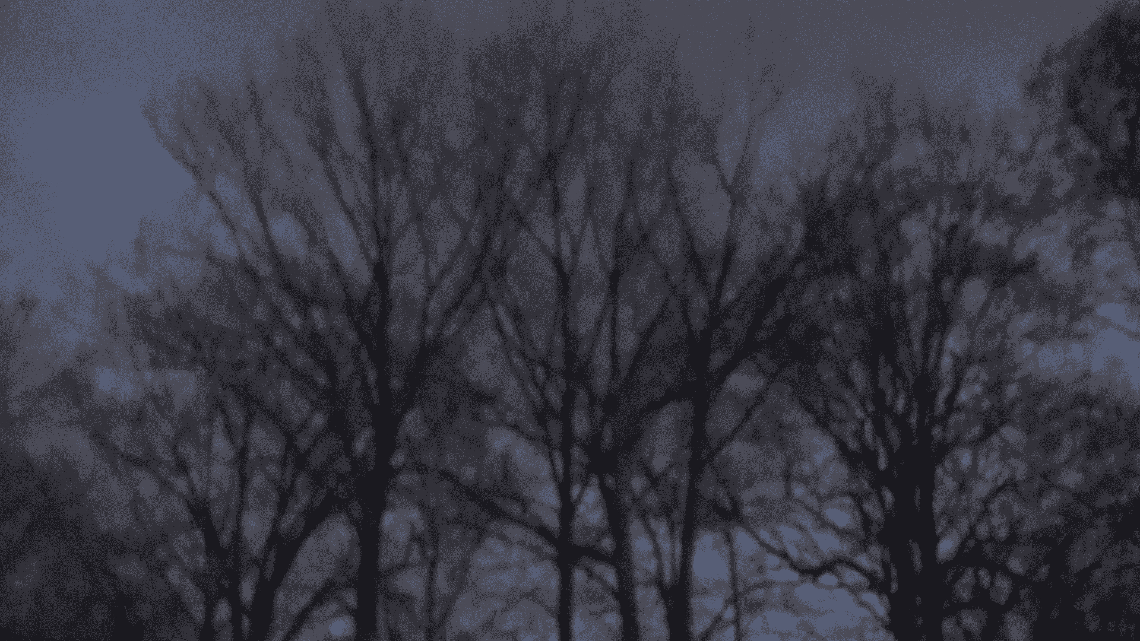 Woods by skateboarder11